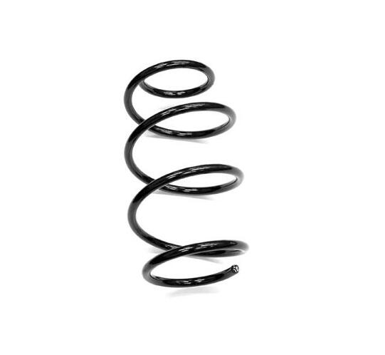 Mercedes Coil Spring - Front 1713210904